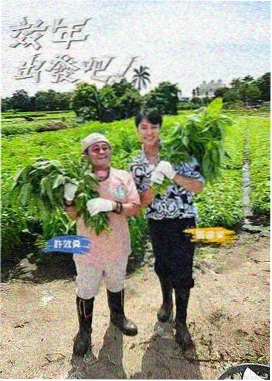 即兴食堂素人反杀综艺爆笑片段